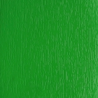  Зеленый светлый Renolit 611505