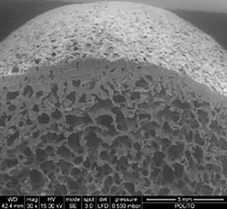 osteobiol_dual_block_microscope1