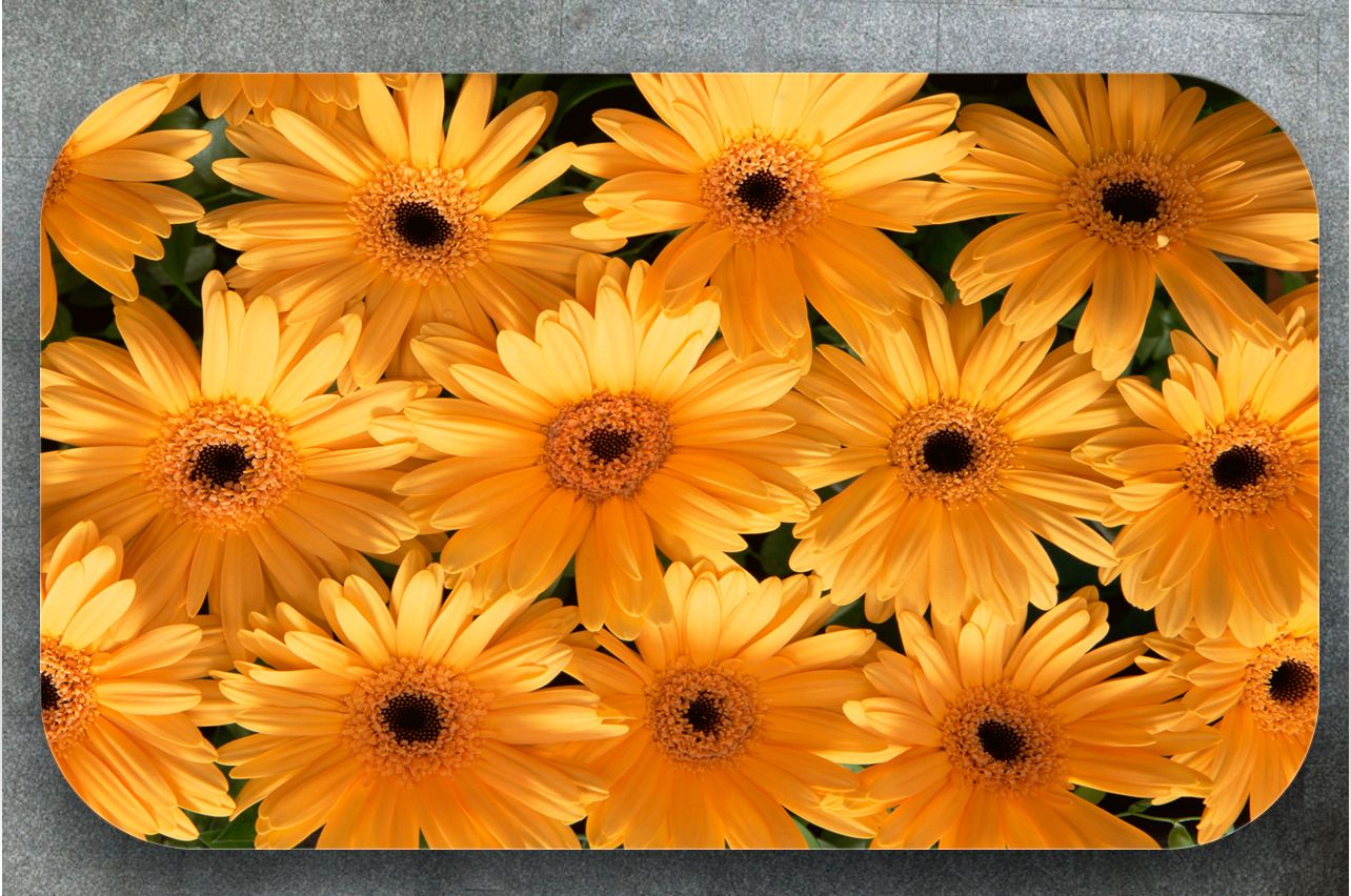 Stickers a Table - Gerberas | Buy Table Decals in x-decor.comи