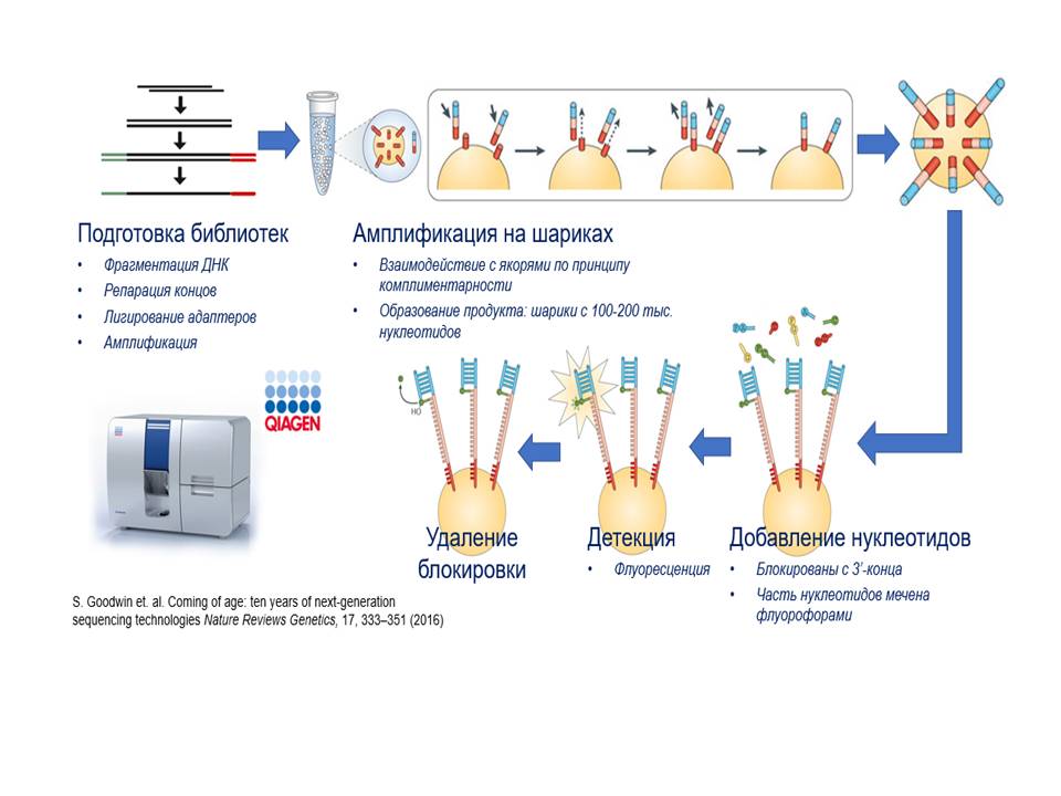 Поколения секвенирования. Секвенирование методом NGS. Методы секвенирования нового поколения. Секвенирование нового поколения NGS. NGS -секвенирования это.
