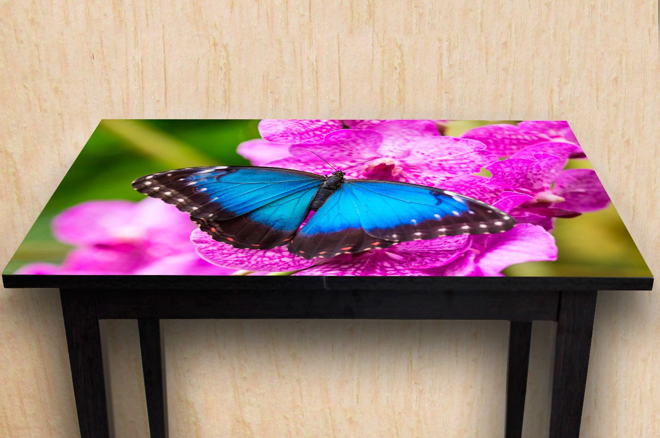 Stickers a Table - Morpho Butterfly |Buy Table Decals in x-decor.com