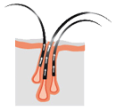 main_benefit-300.png main_benefit-300.png