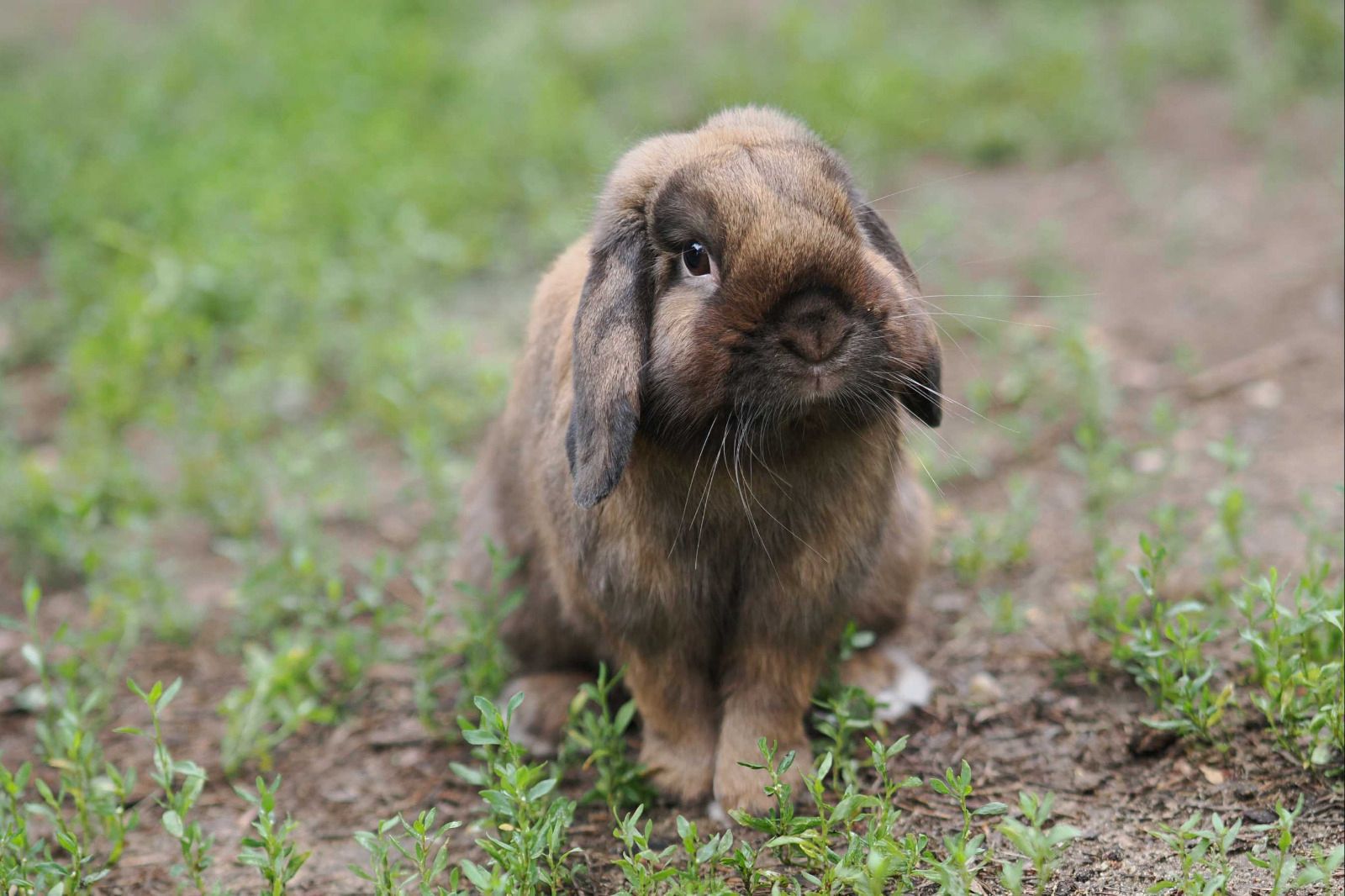 У нас новый сотрудник Фотостудии МЛ!