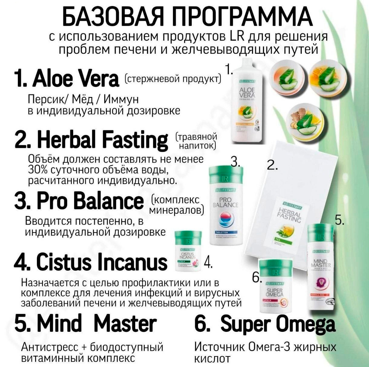 БАЗОВАЯ программа 