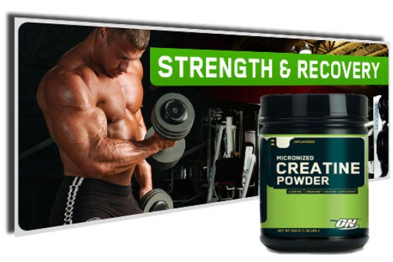 Optimum Micronized Creatine Powder
