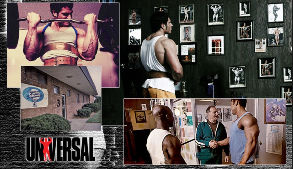 бренд Universal Nutrition