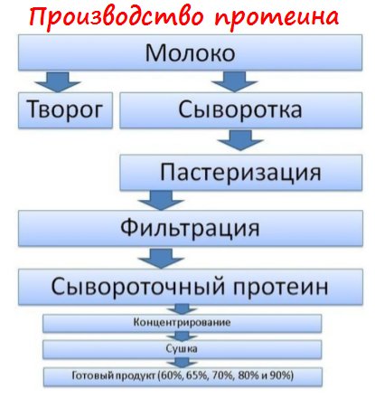 Технология производства протеина