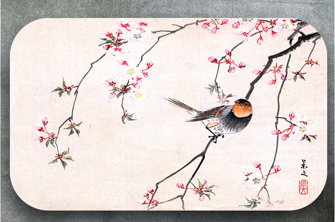 Stickers a Table - Bird and Cherry |  Table top Decals in x-decor.com