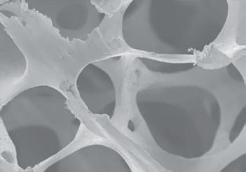 osteobiol_sp_block_microscope1