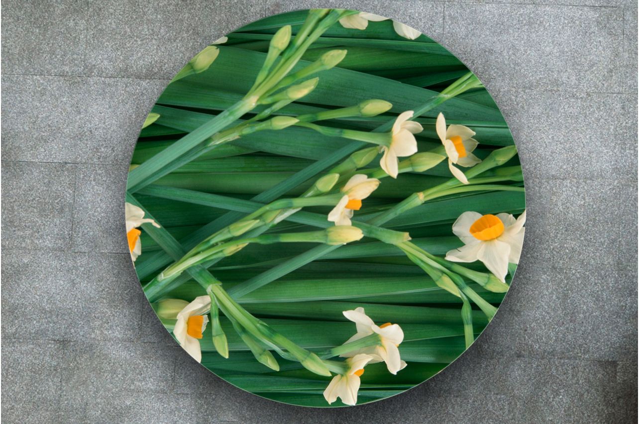 Stickers a Table - Daffodils | Buy Table Decals in x-decor.com